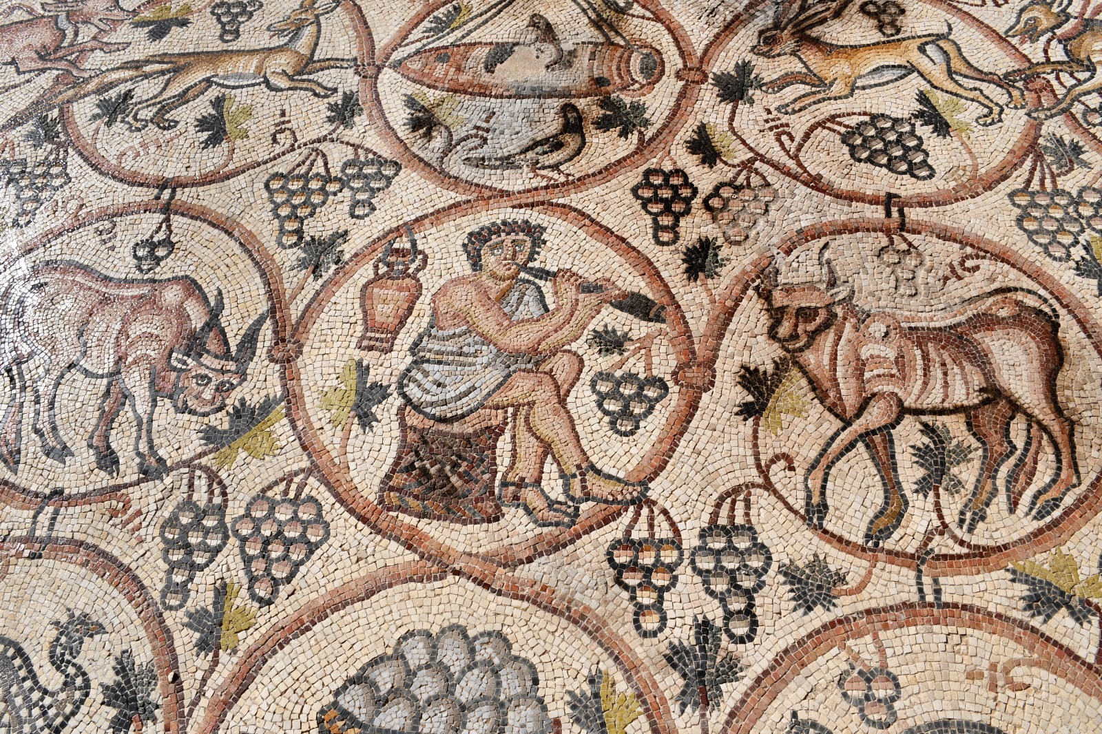 Scenes from the mosaic